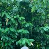 nunya1_