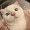 ngoclinh_dethw