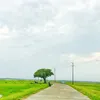 mdsayembhuiyan
