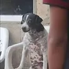 elomasw