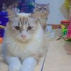 miky_family7