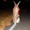 catrinnne