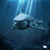 hadad_04