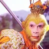 www.tiktok.comlh2602