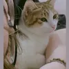 bunne_204