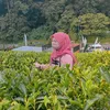 shofiya.id