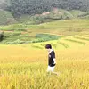 minhduc_4111