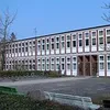 der_reaktions_boss1