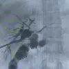 badstory112233