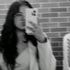 laurifrons_
