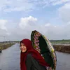 riazahara20