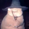 moeloepmelf