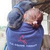 o.h.equinetherapy