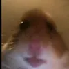 snikk_k