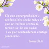 roseferreira614715