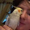 aliyah_bird_lover