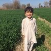 dilaryan786