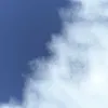 hello_vn19
