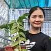 thuyduong210311