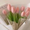 dfy.tulip