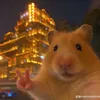 ayaararawr