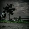 nysm27_