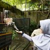laraswahyuu