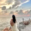 ngocvu_241