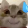 thaohihi23