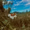 18_10_1994l