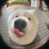 mmint_z