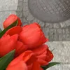 zsofikaa09