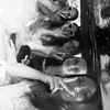 whosadrianna719