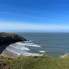 finleesj
