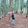 dianmayasari019