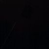 drin1619