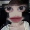 bokhobmi