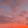 _zuzu37