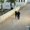 latifabenm6