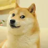 rubynek26