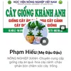 phamhieu9187