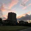 cliptamtrangbuon.11