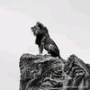 alok_2811