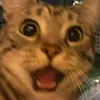 keotokki