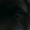 _lallallaaa2