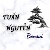 tuannguyenbonsai