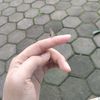 quotes_rndmmmm