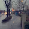 lenahalt._.16