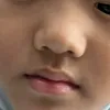 301106_lien