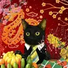 black cat VIỆT NAM🇻🇳🇻🇳🇻🇳